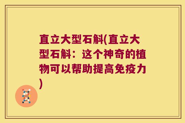 直立大型石斛(直立大型石斛：这个神奇的植物可以帮助提高免疫力)