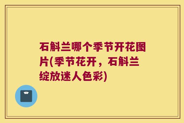 石斛兰哪个季节开花图片(季节花开，石斛兰绽放迷人色彩)