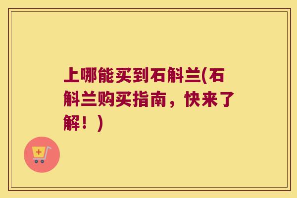 上哪能买到石斛兰(石斛兰购买指南，快来了解！)