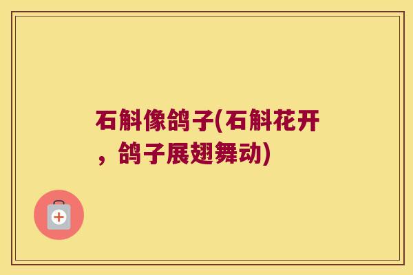 石斛像鸽子(石斛花开，鸽子展翅舞动)