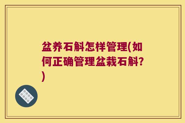 盆养石斛怎样管理(如何正确管理盆栽石斛？)