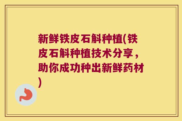 新鲜铁皮石斛种植(铁皮石斛种植技术分享，助你成功种出新鲜药材)
