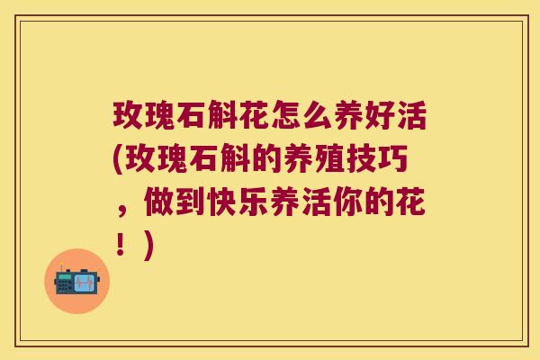 玫瑰石斛花怎么养好活(玫瑰石斛的养殖技巧，做到快乐养活你的花！)