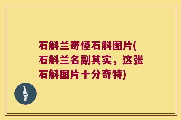 石斛兰奇怪石斛图片(石斛兰名副其实，这张石斛图片十分奇特)