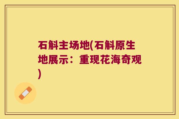 石斛主场地(石斛原生地展示：重现花海奇观)