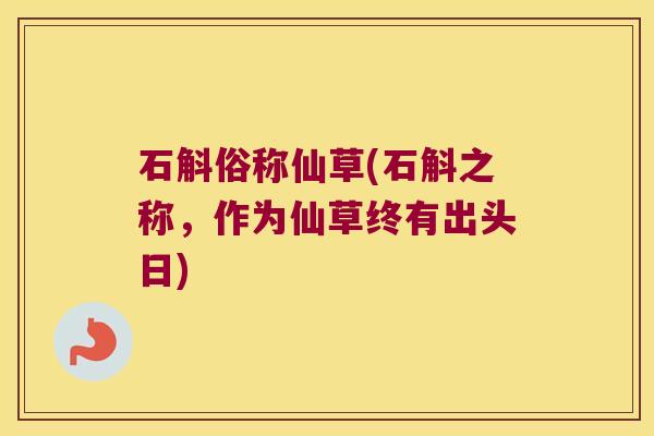 石斛俗称仙草(石斛之称，作为仙草终有出头日)