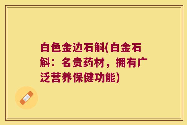 白色金边石斛(白金石斛：名贵药材，拥有广泛营养保健功能)