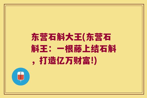 东营石斛大王(东营石斛王：一根藤上结石斛，打造亿万财富!)