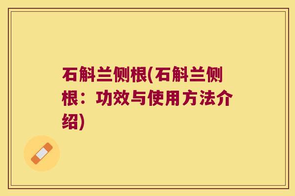 石斛兰侧根(石斛兰侧根：功效与使用方法介绍)