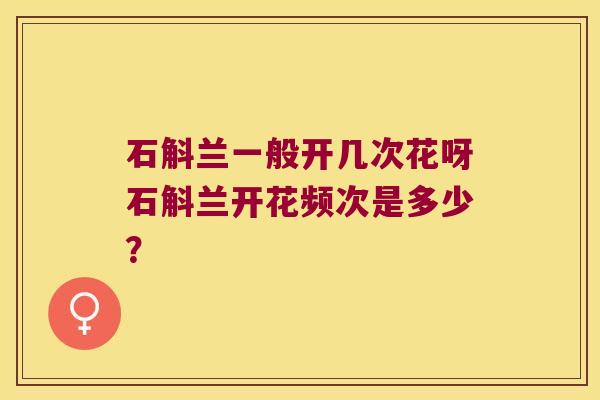 石斛兰一般开几次花呀石斛兰开花频次是多少？