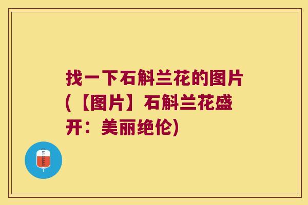 找一下石斛兰花的图片(【图片】石斛兰花盛开：美丽绝伦)
