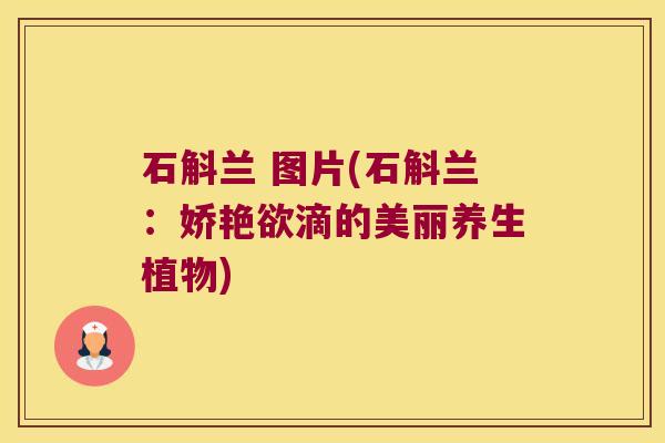 石斛兰 图片(石斛兰：娇艳欲滴的美丽养生植物)