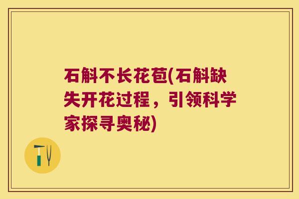 石斛不长花苞(石斛缺失开花过程，引领科学家探寻奥秘)