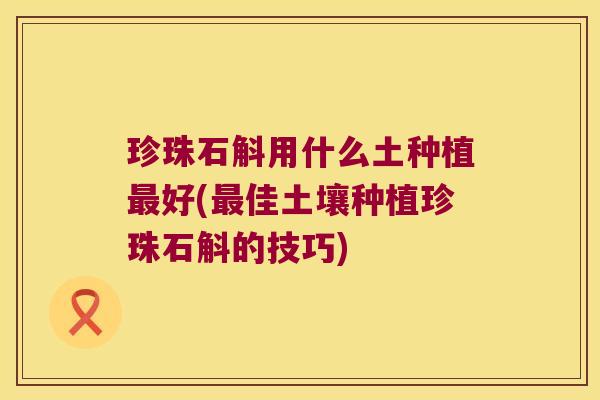 珍珠石斛用什么土种植好(佳土壤种植珍珠石斛的技巧)