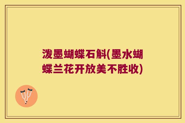 泼墨蝴蝶石斛(墨水蝴蝶兰花开放美不胜收)