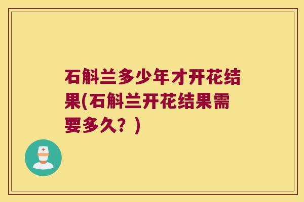 石斛兰多少年才开花结果(石斛兰开花结果需要多久？)