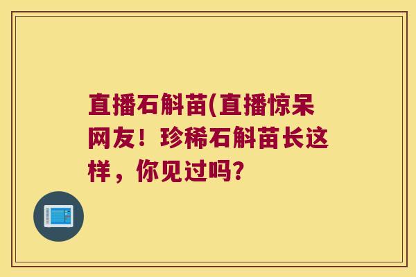 直播石斛苗(直播惊呆网友！珍稀石斛苗长这样，你见过吗？