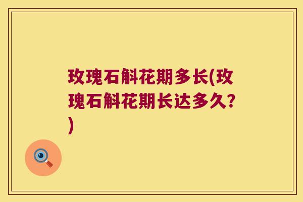 玫瑰石斛花期多长(玫瑰石斛花期长达多久？)
