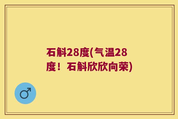 石斛28度(气温28度!石斛欣欣向荣) 石斛28度(气温28度!石斛欣欣向荣)