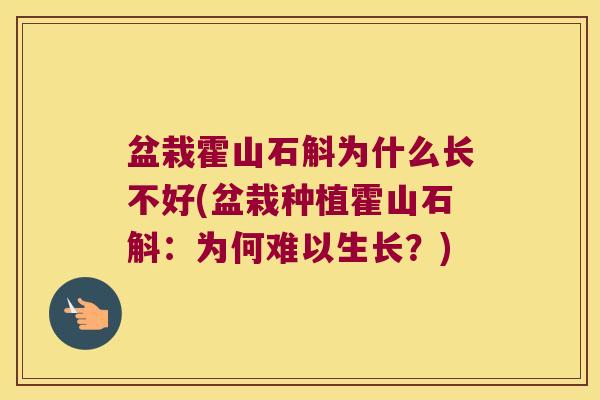 盆栽霍山石斛为什么长不好(盆栽种植霍山石斛：为何难以生长？)