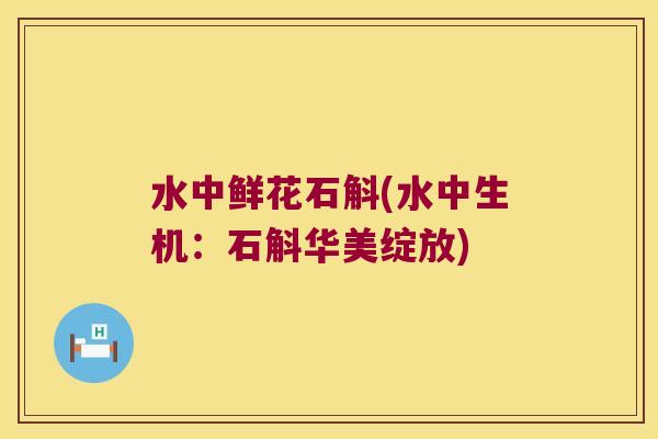 水中鲜花石斛(水中生机：石斛华美绽放)