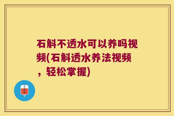 石斛不透水可以养吗视频(石斛透水养法视频，轻松掌握)