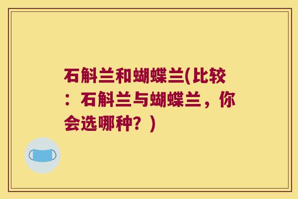 石斛兰和蝴蝶兰(比较：石斛兰与蝴蝶兰，你会选哪种？)