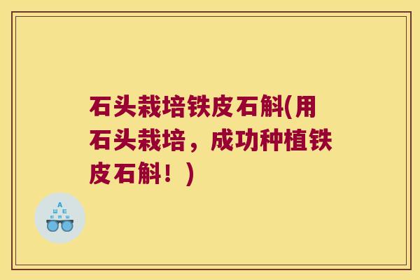 石头栽培铁皮石斛(用石头栽培，成功种植铁皮石斛！)