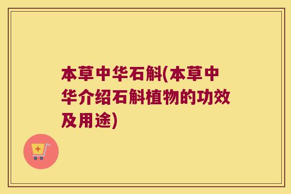 本草中华石斛(本草中华介绍石斛植物的功效及用途)