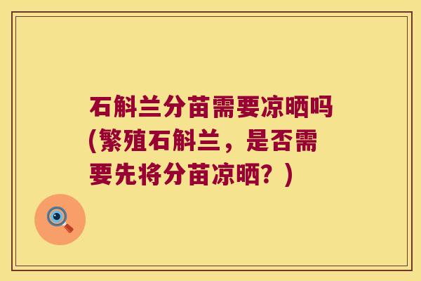 石斛兰分苗需要凉晒吗(繁殖石斛兰，是否需要先将分苗凉晒？)