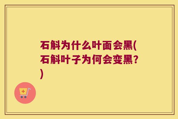 石斛为什么叶面会黑(石斛叶子为何会变黑？)