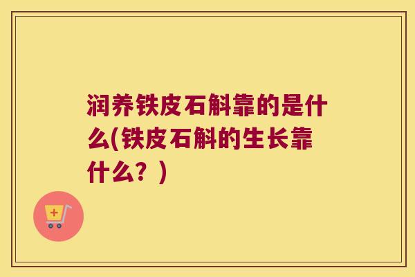 润养铁皮石斛靠的是什么(铁皮石斛的生长靠什么？)