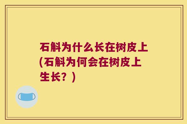 石斛为什么长在树皮上(石斛为何会在树皮上生长？)