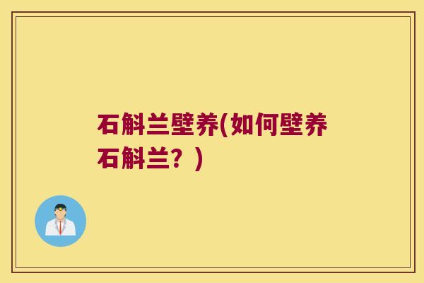 石斛兰壁养(如何壁养石斛兰？)