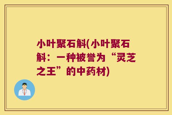 小叶聚石斛(小叶聚石斛：一种被誉为“灵芝之王”的中药材)