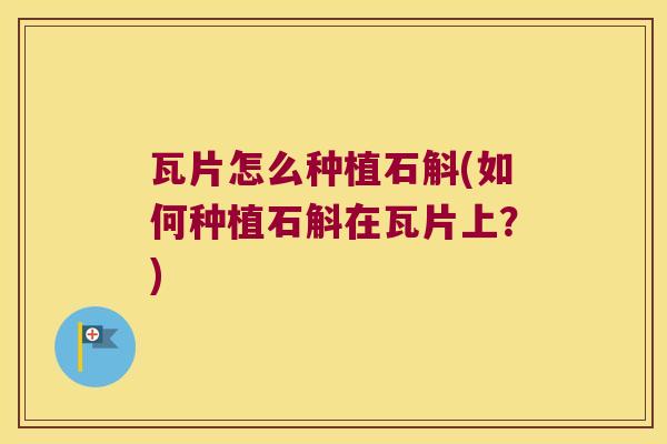 瓦片怎么种植石斛(如何种植石斛在瓦片上？)