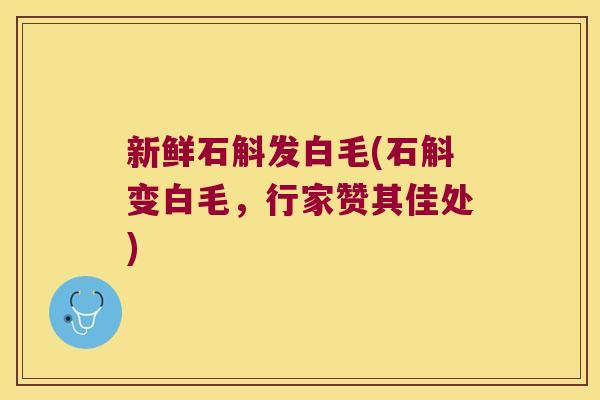 新鲜石斛发白毛(石斛变白毛，行家赞其佳处)