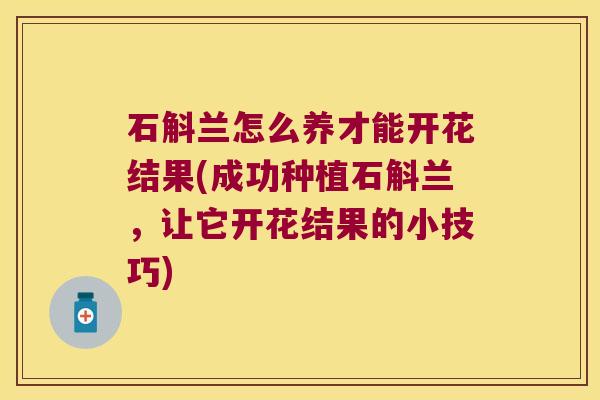 石斛兰怎么养才能开花结果(成功种植石斛兰,让它开花结果的小技巧) 石斛兰怎么养才能开花结果(成功种植石斛兰,让它开花结果的小技巧)