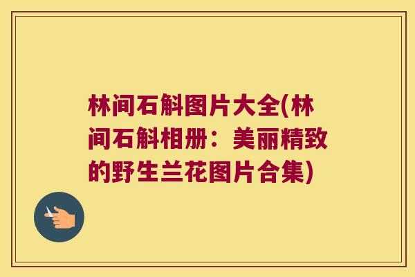 林间石斛图片大全(林间石斛相册：美丽精致的野生兰花图片合集)
