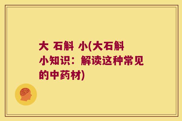 大 石斛 小(大石斛小知识：解读这种常见的中药材)