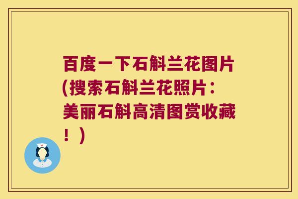 百度一下石斛兰花图片(搜索石斛兰花照片：美丽石斛高清图赏收藏！)
