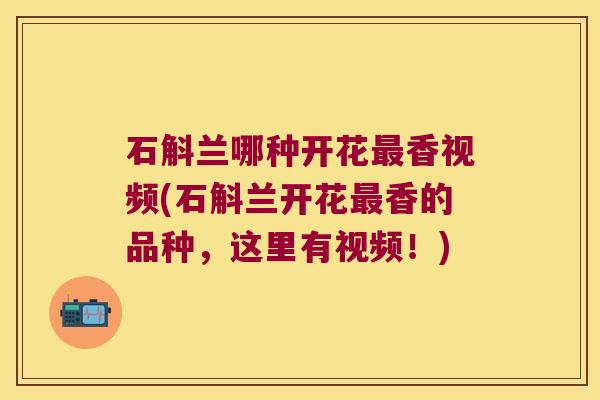 石斛兰哪种开花最香视频(石斛兰开花最香的品种，这里有视频！)