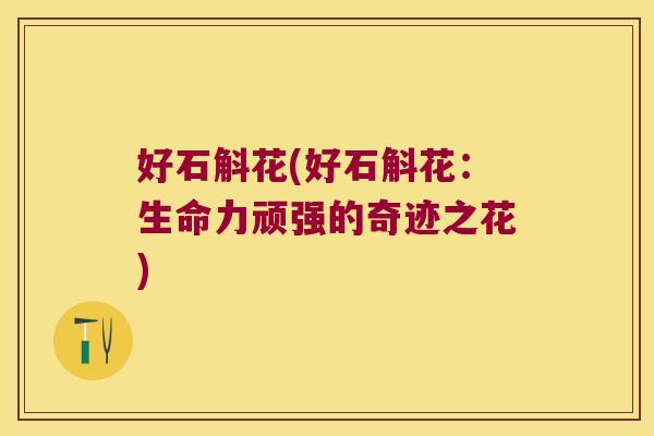 好石斛花(好石斛花：生命力顽强的奇迹之花)