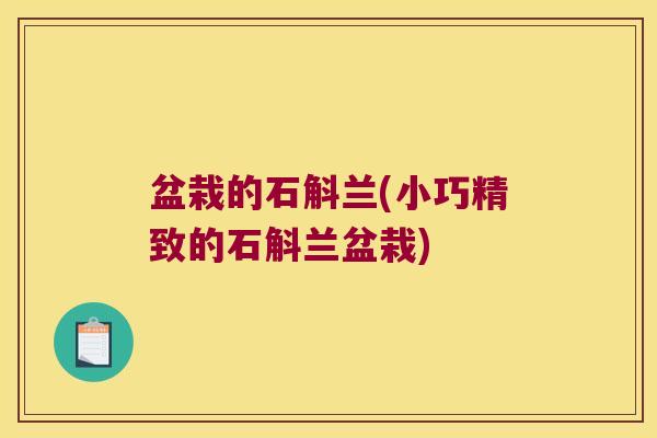 盆栽的石斛兰(小巧精致的石斛兰盆栽)