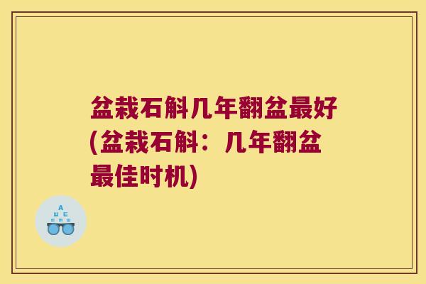 盆栽石斛几年翻盆好(盆栽石斛:几年翻盆佳时机) 盆栽石斛几年翻盆好(盆栽石斛:几年翻盆佳时机)