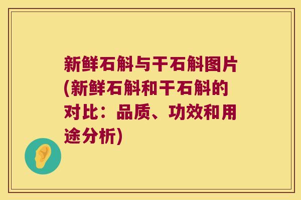 新鲜石斛与干石斛图片(新鲜石斛和干石斛的对比:品质、功效和用途分析) 新鲜石斛与干石斛图片(新鲜石斛和干石斛的对比:品质、功效和用途分析)