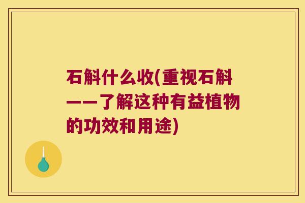 石斛什么收(重视石斛——了解这种有益植物的功效和用途)