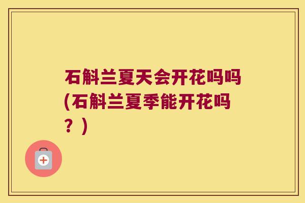 石斛兰夏天会开花吗吗(石斛兰夏季能开花吗?) 石斛兰夏天会开花吗吗(石斛兰夏季能开花吗?)