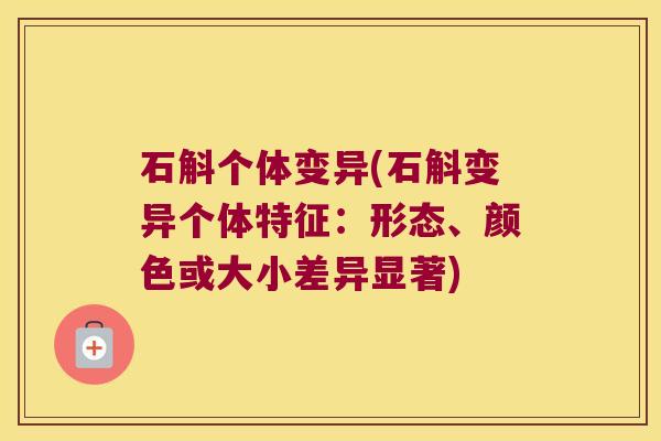 石斛个体变异(石斛变异个体特征:形态、颜色或大小差异显著) 石斛个体变异(石斛变异个体特征:形态、颜色或大小差异显著)