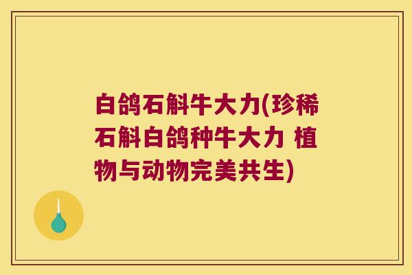 白鸽石斛牛大力(珍稀石斛白鸽种牛大力 植物与动物完美共生)